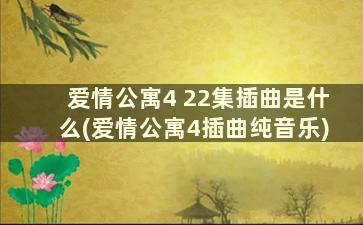 爱情公寓4 22集插曲是什么(爱情公寓4插曲纯音乐)